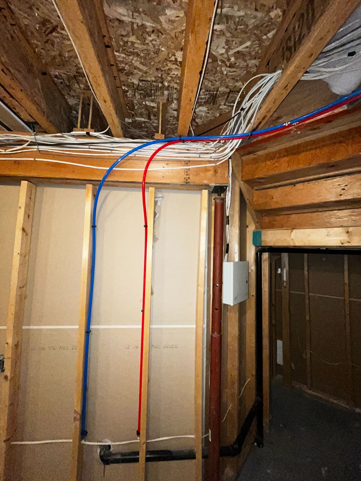 Calgary Poly B Replacement