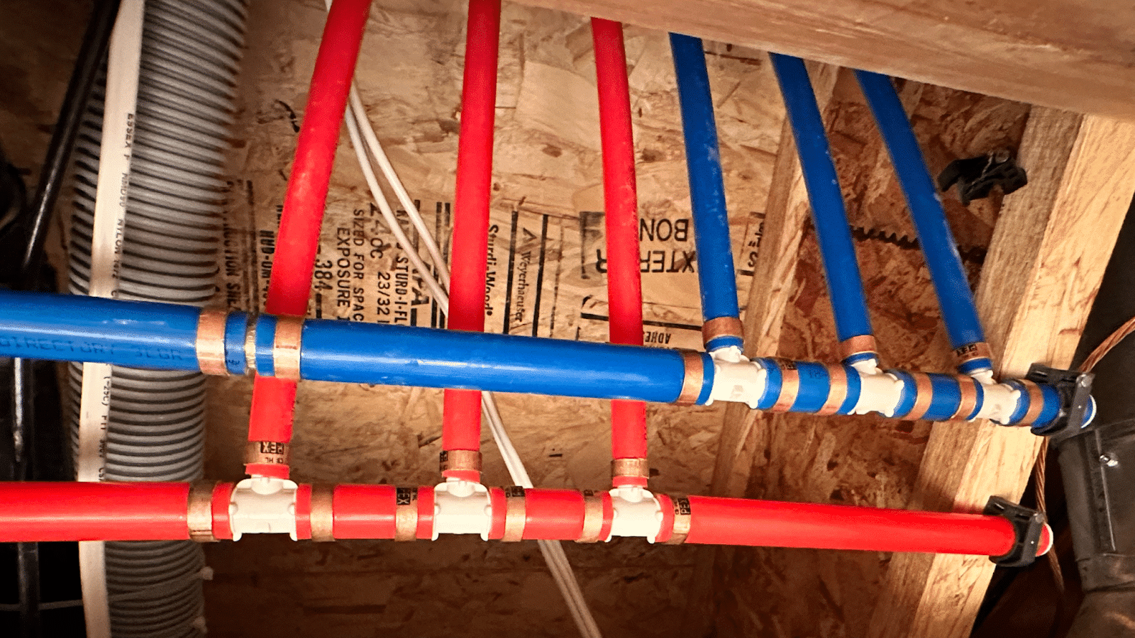 Replacement Poly B Calgary