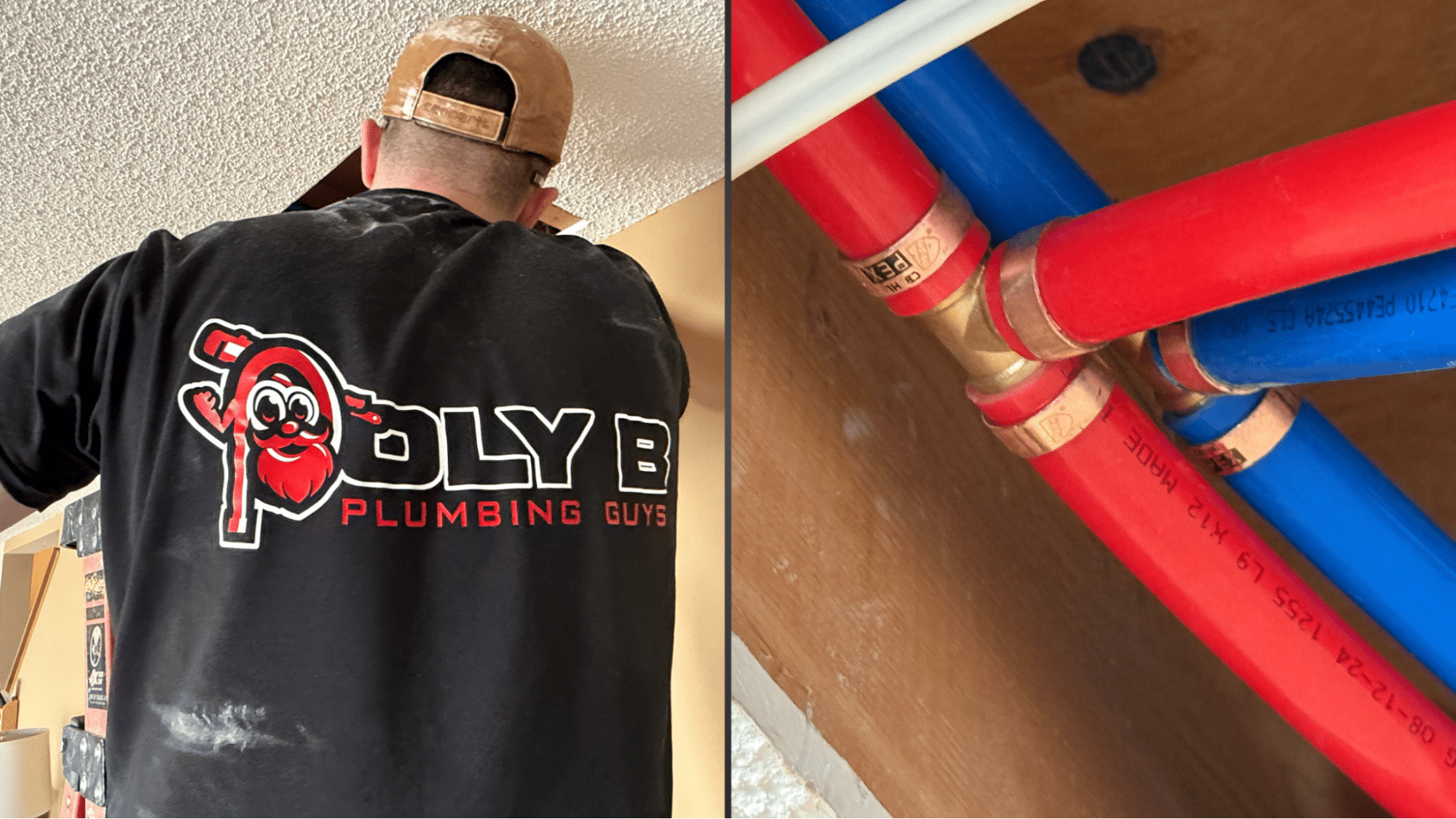 Poly B Removal In Bc